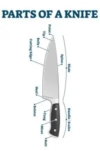 parts of a knife anatomy